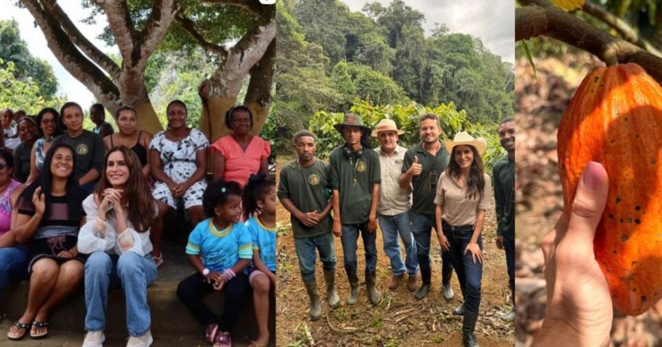Rotina social e de trabalho de Ticiana (Foto Reprodução/Instagram@tici_villasboas)