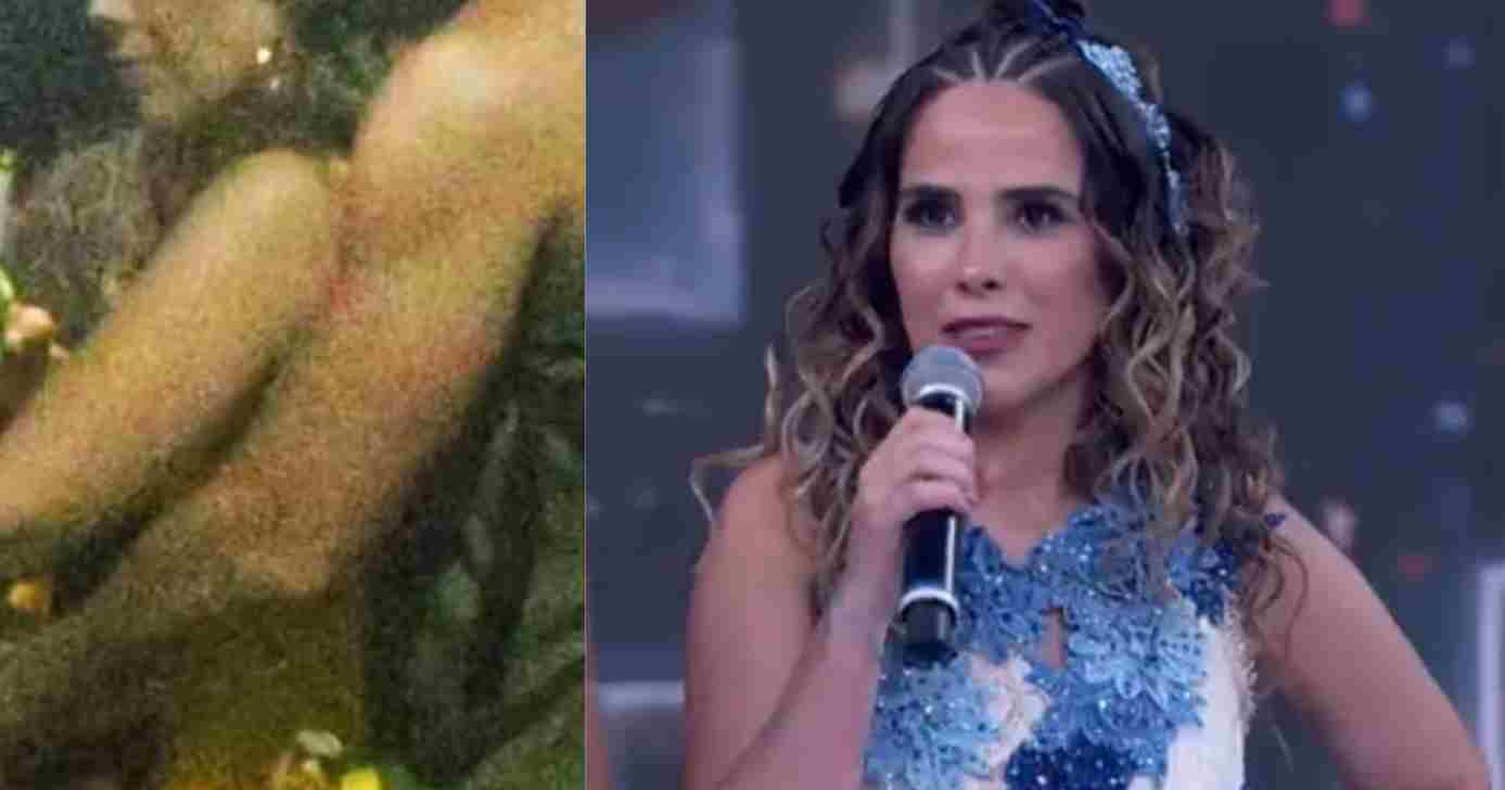 Wanessa Camargo e famoso (Fotos: Reproduções / Thiago Martins | AgNews / Globo)
