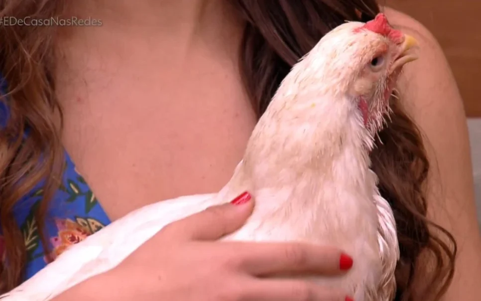 Maria Beltrão com galinha no É de Casa (Foto: Reprodução/ Internet)