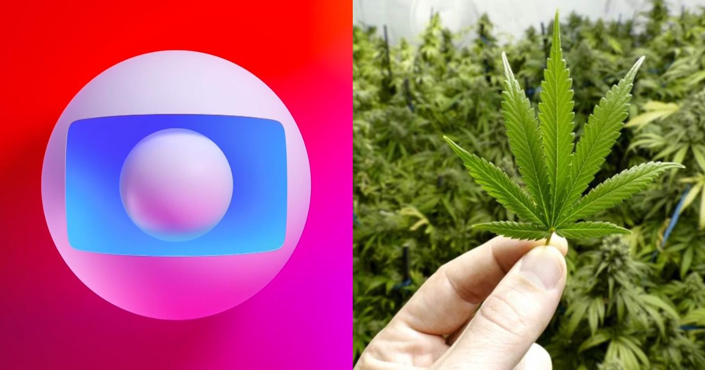 Estrela da Globo mostra plantação de maconha (Foto: Reprodução/ Montagem)a