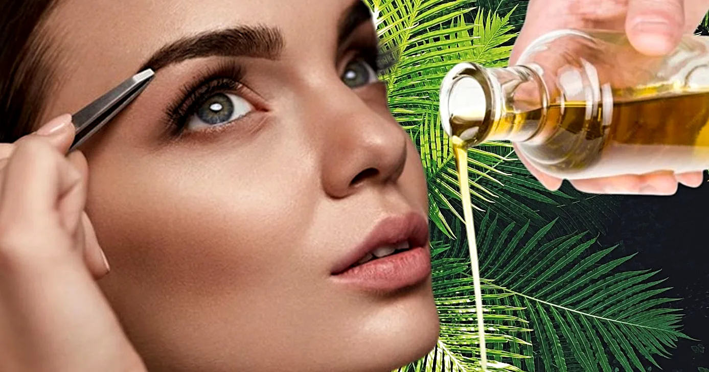 Ilustração de mulher com a sobrancelha perfeita e um indicativo sem uso de óleos naturais (Foto Reprodução/Montagem/Lennita/Tv Foco/Canva/Freepik)