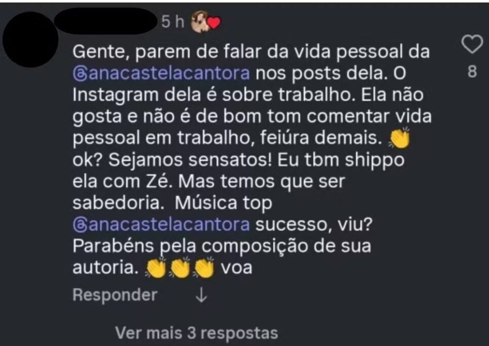 Ana Castela curtiu comentário falando sobre Zé Felipe (Foto: Reprodução/ Internet)