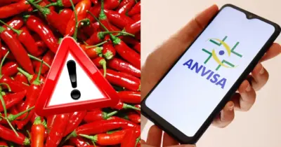 Comunicado da ANVISA informa proibição de pimenta popular e traz alerta às donas de casa em 2025