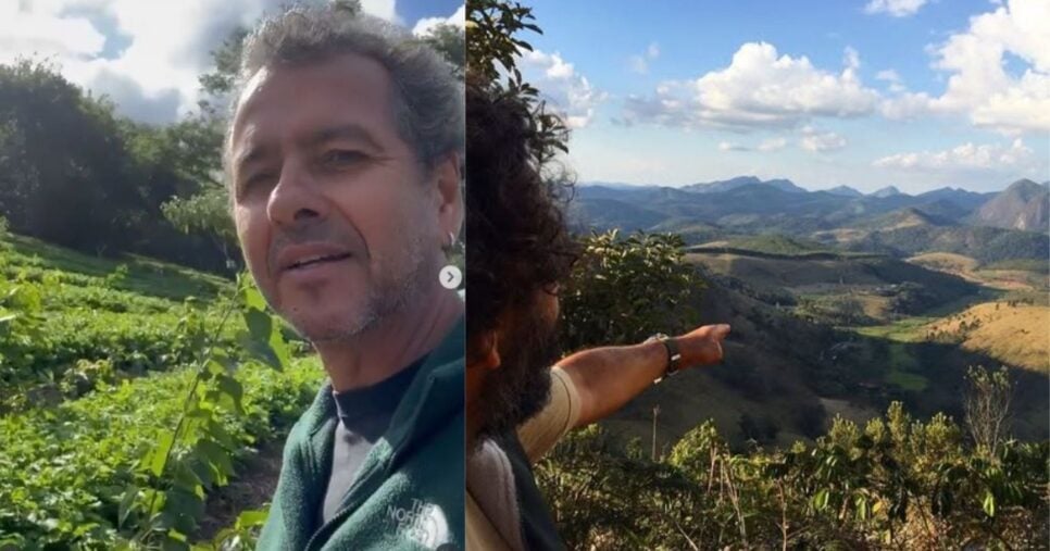 Marcos Palmeira comprou a fazenda a cerca de 30 anos atrás (Foto Reprodução/Montagem/Instagram/@valedaspalmeirasorganicos)