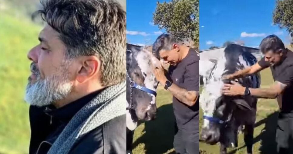 Maurício Mattar mostrando a rotina da vida no campo (Foto: Reprodução/Montagem/TV Foco/Instagram @mauriciomattar)