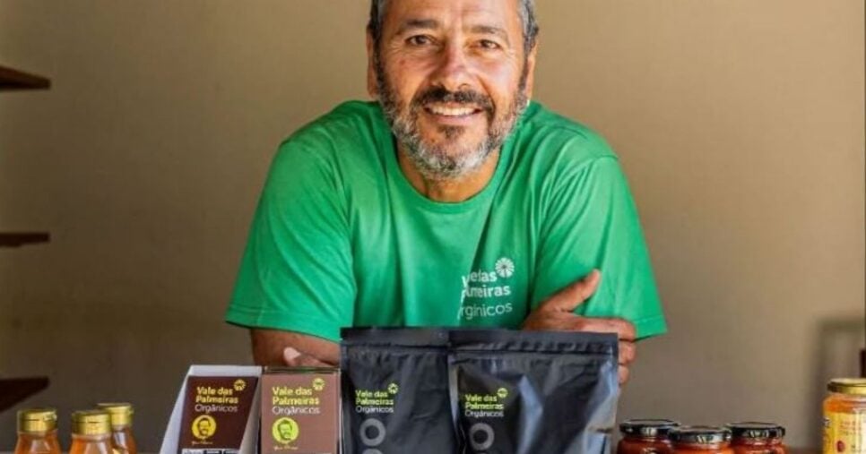 Marcos Palmeira produz uma variedade de produtos orgânicos (Foto Reprodução/Montagem/Instagram/@valedaspalmeirasorganicos)