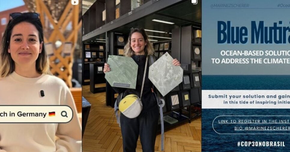 Thaiane Maciel se dedica ao ativismo ambiental (Foto Reprodução/Montagem/TV Foco/Instagram/@thaianemaciel)