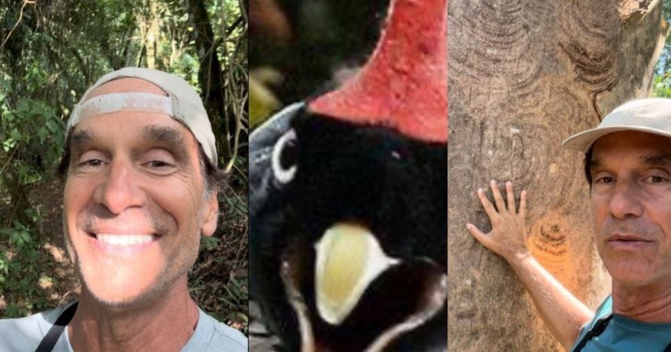 Victor Fasano se dedica agora às questões ambientais (Foto Reprodução/Montagem/TV Foco/Instagram/@victorscenes)