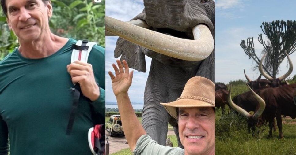 Victor Fasano se dedica agora às questões ambientais (Foto Reprodução/Montagem/TV Foco/Instagram/@victorscenes)