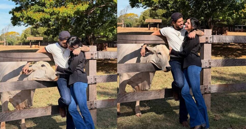 Zé Felipe e Ana Castela (Fotos: Reproduções / Instagram) 