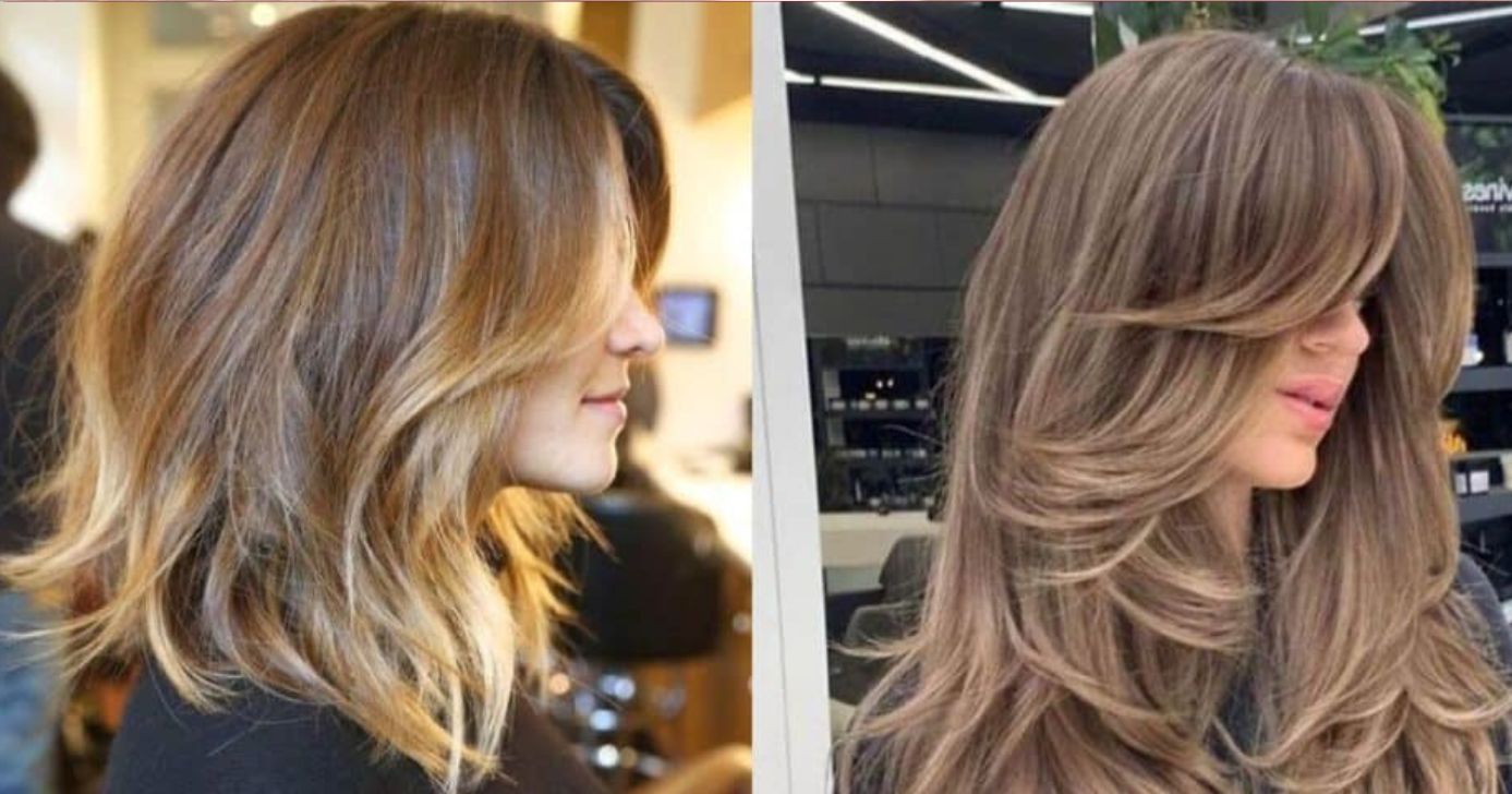 4 cortes de cabelos que renovam a autoestima das mulheres - Montagem/TV FOCO