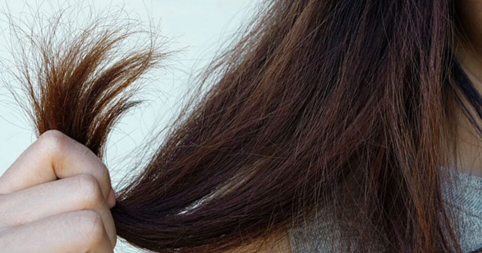 Cabelo castanho escuro também podem ser danificados com o tempo (Foto Reprodução/Freepik)
