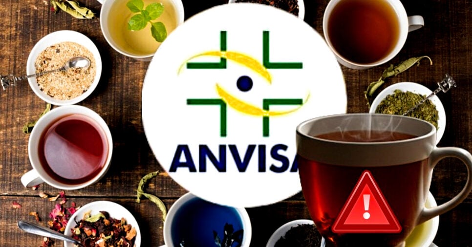 ANVISA comunica proibição de chá popular (Foto Reprodução/Montagem/TV Foco/Canva/GMN/Freepik)