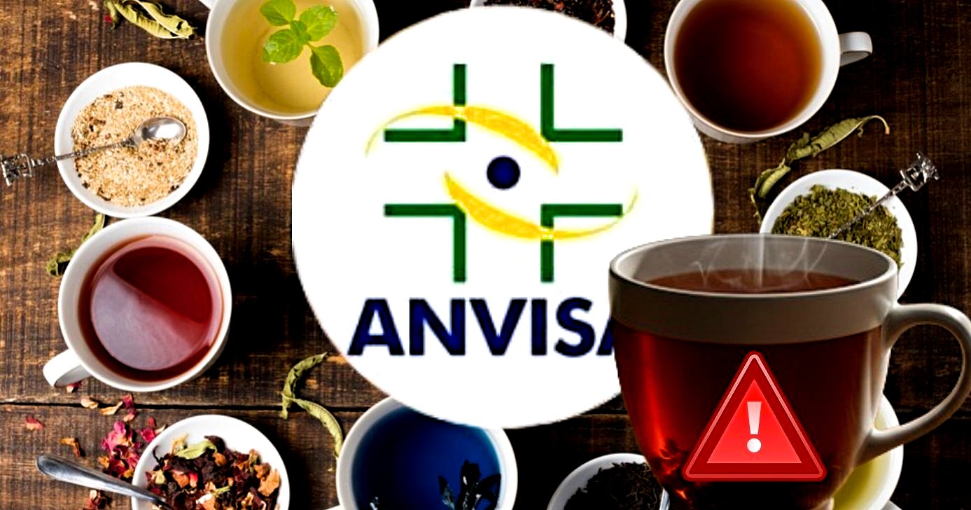 ANVISA comunica proibição de chá popular (Foto Reprodução/Montagem/TV Foco/Canva/GMN/Freepik)