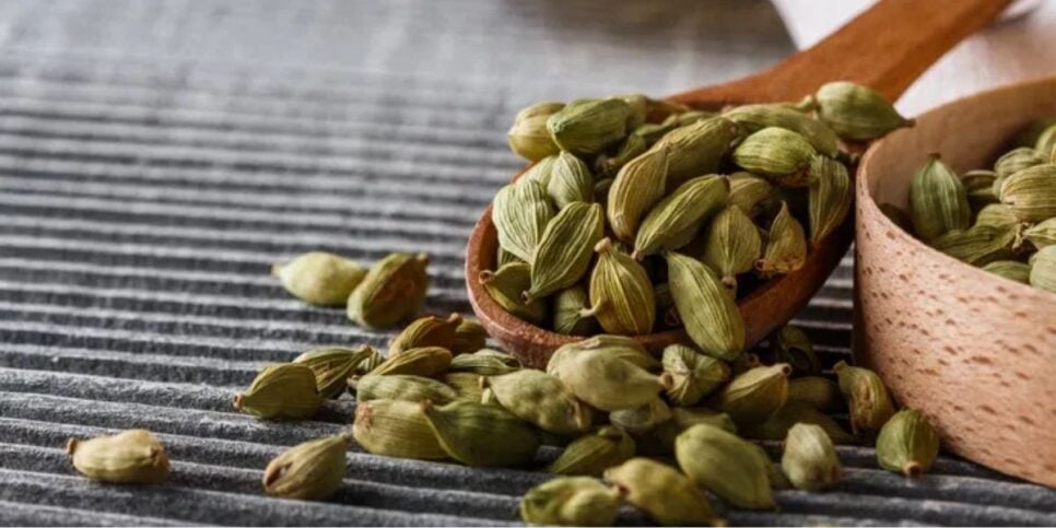 Semente do cardamomo é um grande auxiliar digestivo (Reprodução: Divulgação)