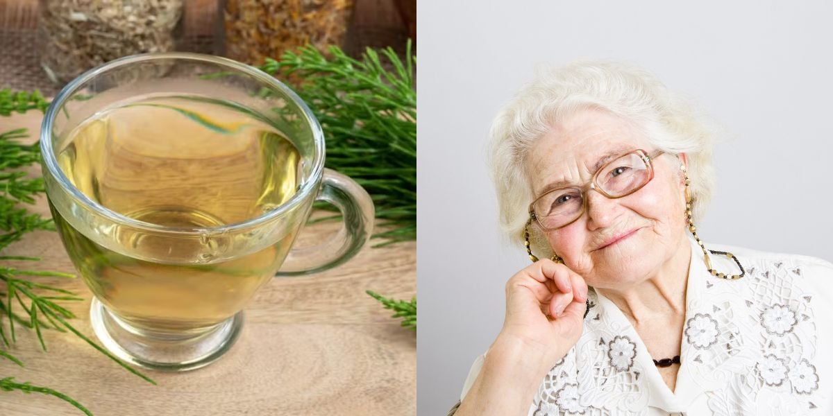 Chá natural aumenta produção de colágeno das idosas (Reprodução: Montagem TV Foco)