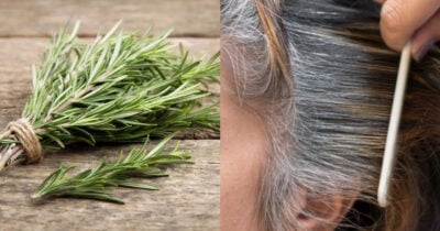 Alecrim para escurecer fios brancos (Foto: Divulgação)