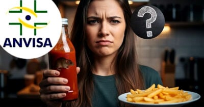 Saiba o motivo pelo qual a ANVISA permite pelo de rato no seu ketchup (Foto Reprodução/Montagem/TV Foco/Lennita/Canva/GMN/ANVISA)