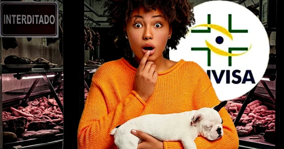Açougue foi interditado por nojeira e suposta venda de carne de cachorro (Foto Reprodução/Montagem/Lennita/TV Foco/Canva/gmn/Freepik)