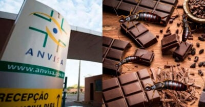 Anvisa - Chocolate - Inseto (Foto: Reprodução)