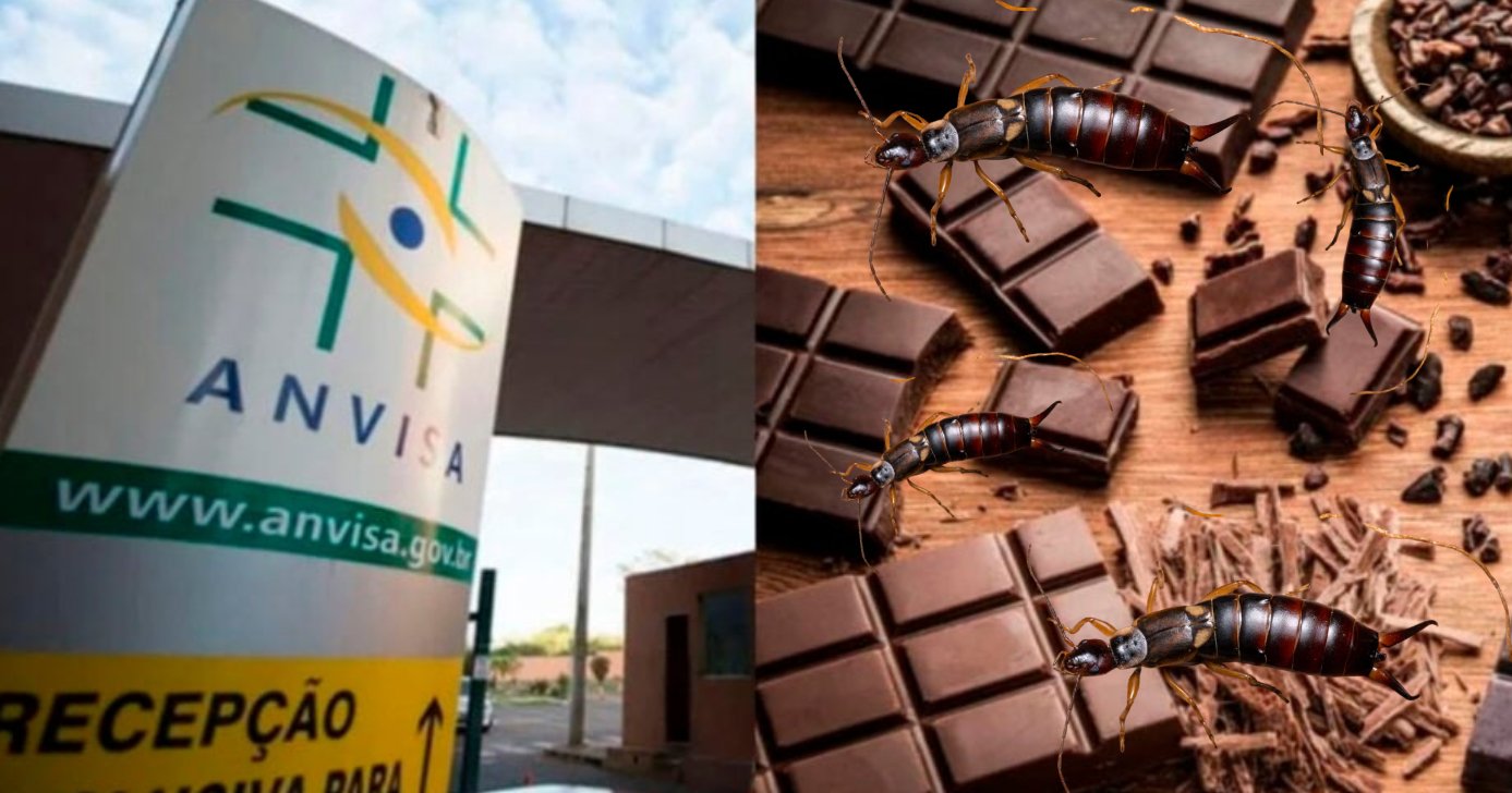 Anvisa - Chocolate - Inseto (Foto: Reprodução)