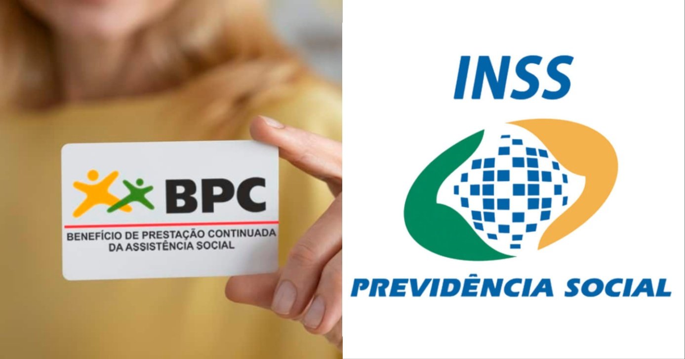 BPC e INSS (Foto: Reprodução/ Internet)