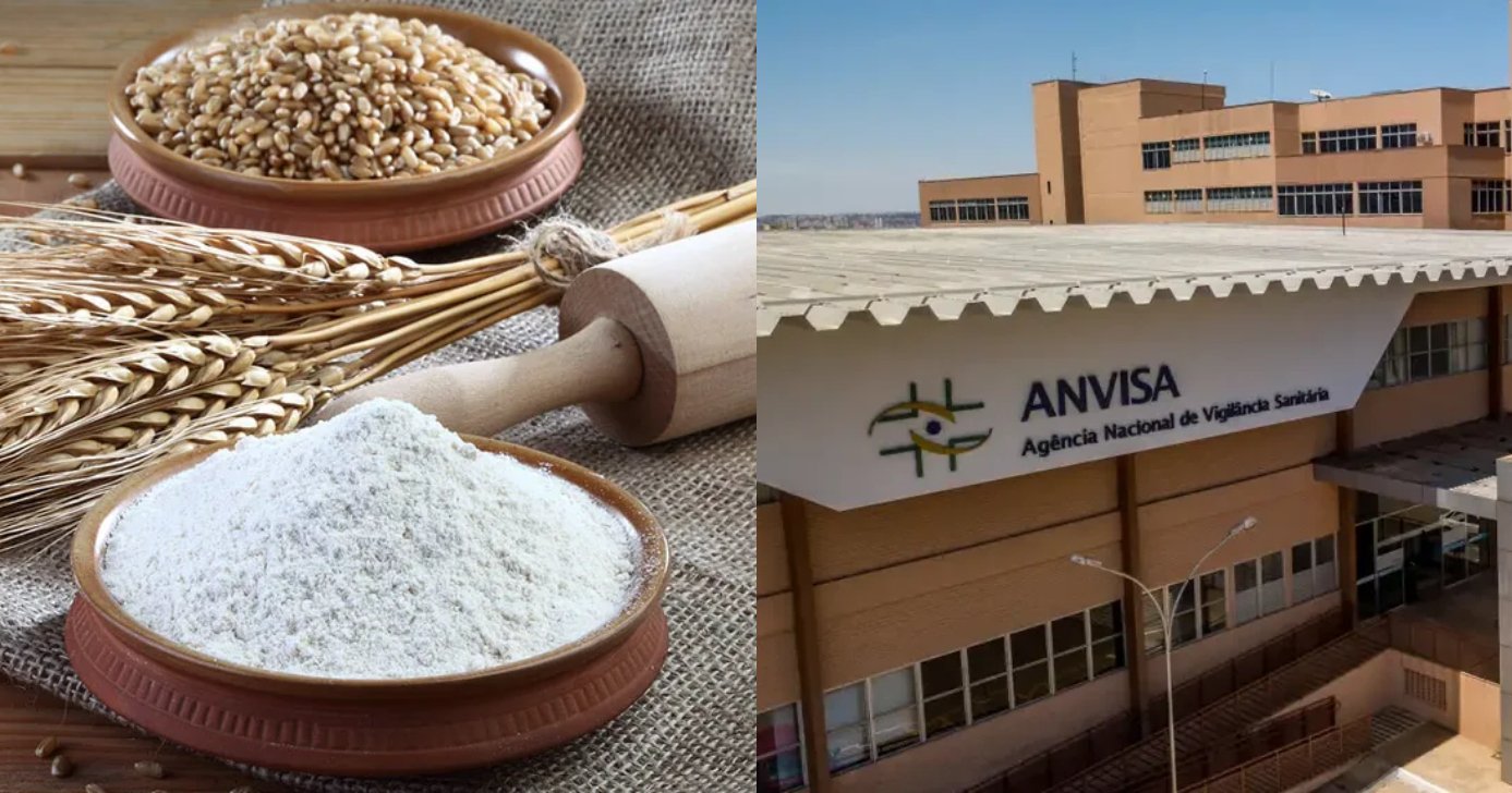 Anvisa traz alerta sobre farinha de trigo (Foto: Divulgação)