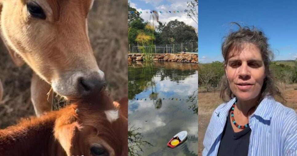 Cliques de Mariana em sua propriedade rural e vivendo em meio à natureza (Foto Reprodução/Montagem/Instagram