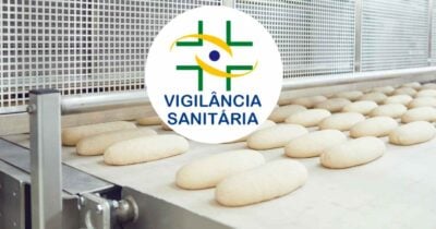 Ilustração fábrica de pães e logo Vigilância Sanitária (Fotos: Reproduções / Canva / Internet)