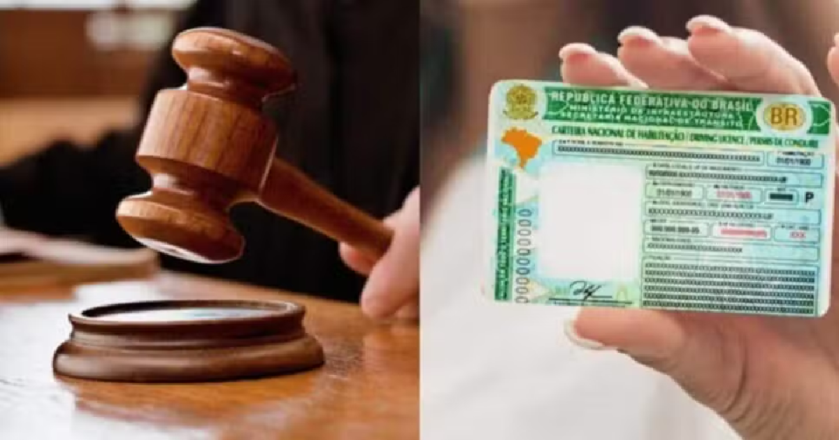 Lei de trânsito (Foto: Reprodução)