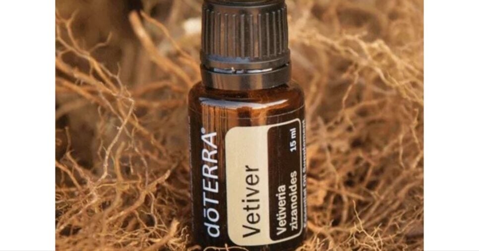 Óleo de vetiver - Foto: Internet