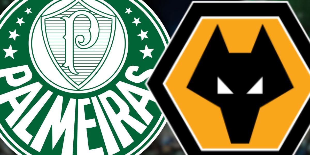 Foto - Montagem TV Foco