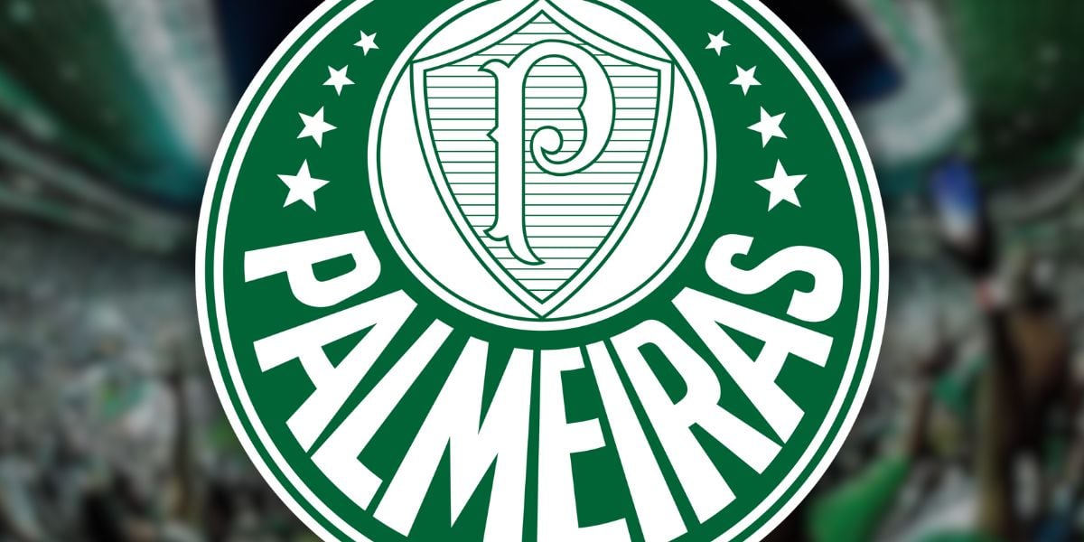 Foto - Montagem TV Foco