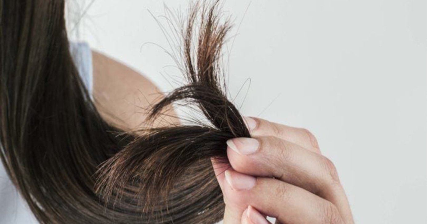 Saiba com resolver as pontas duplas do seu cabelo (Foto: Divulgação)