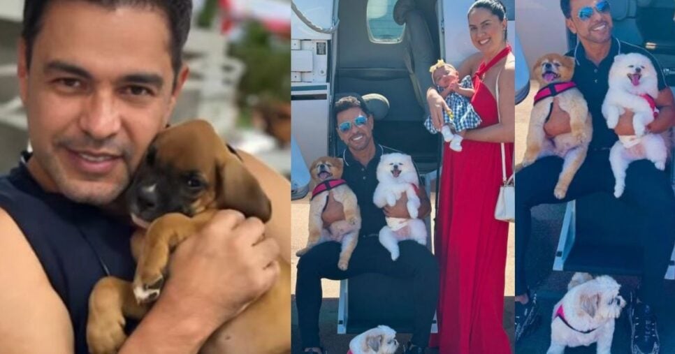 Zezé di Camargo não abate mais gado na fazenda e mudou o foco para criação de animais, como cachorros (Foto Reprodução/Montagem/Instagram@zezedicamargo)