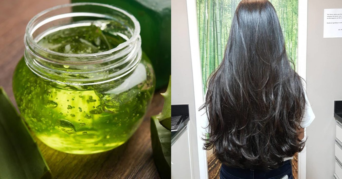 O segredo da babosa para turbinar os cabelos (Foto: Divulgação)
