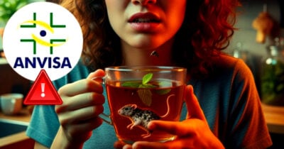 Saiba o que a ANVISA diz sobre fragmentos em chás populares (Foto Reprodução/Montagem/Lennita/TV Foco/Canva/GMN)