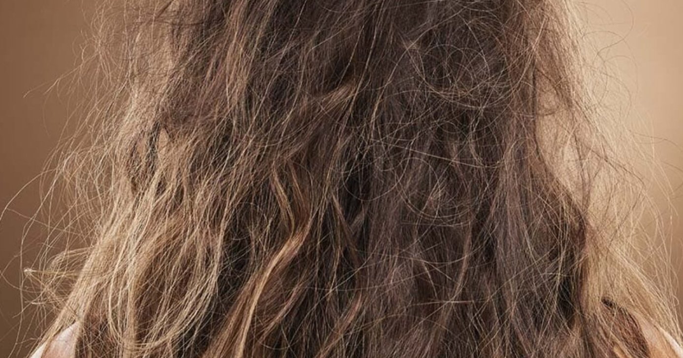 Veja como combater o frizz e reduzir o volume do cabelo com esse óleo (Foto: Divulgação)