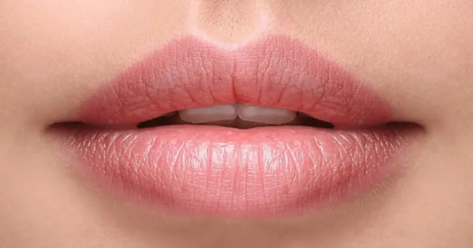 Lábios bonitos com essas 5 dicas (Foto: Divulgação) Lábios bonitos com essas 5 dicas (Foto: Divulgação)