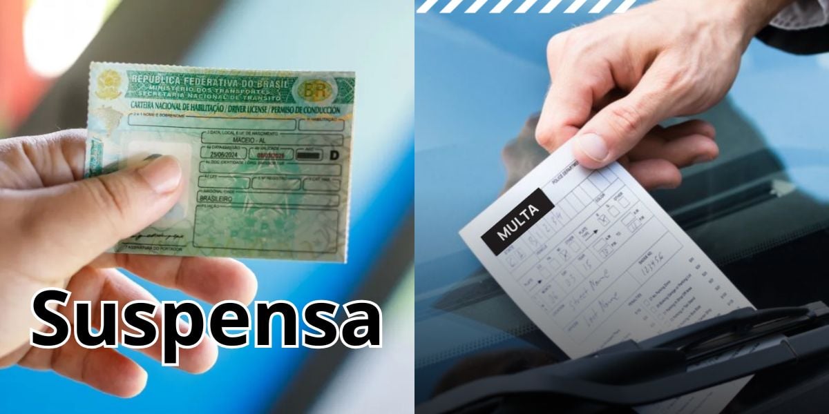 Plano de lei de trânsito com multa severa por uma atitude (Reprodução: Montagem TV Foco)