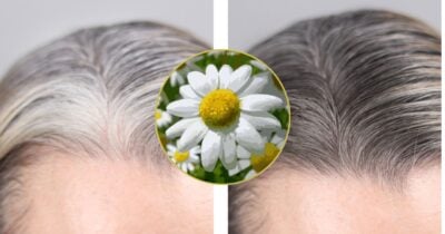 Fim do grisalho sem gastar: tinta natural com chá ajuda a disfarçar até o último fio branco após os 60 (Foto Reprodução/Montagem/TV Foco/Canva/Paola)