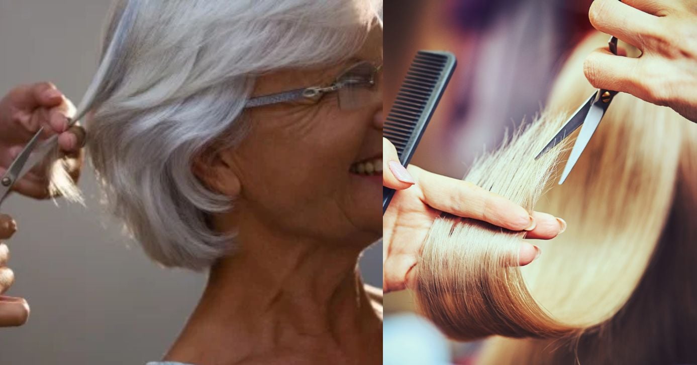 Salvação das 60+: 3 cortes de cabelo somem com o cabelo branco sem tinta e rejuvenescem 20 anos (Foto Reprodução/Montagem/TV Foco/Canva/Paola)