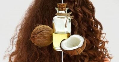 Progressiva caseira: óleo natural ajuda a alinhar a raiz do cabelo em até 30 minutos e sem química (Foto Reprodução/Montagem/TV Foco/Canva/Paola)