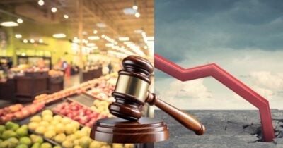 Rede de supermercados e mais pede falência após quase 100 anos: “Impossível continuidade” (Foto Reprodução/Montagem/TV Foco/Canva/Paola)