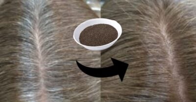 Adeus fios brancos: ingrediente simples escurece o cabelo em 15 minutos e devolve aparência mais jovem (Foto Reprodução/Montagem/TV Foco/Canva/Paola)