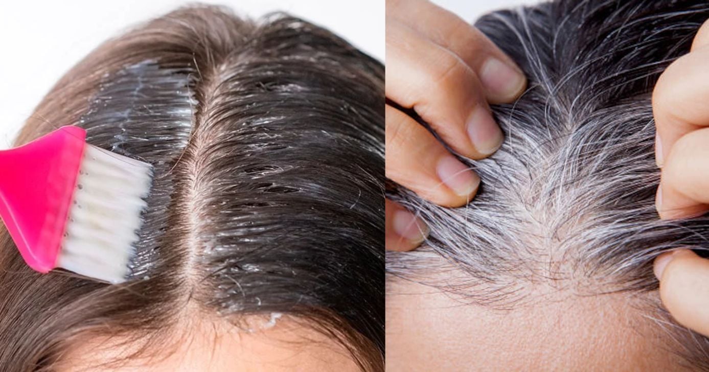 Sem mais cabelos brancos: Tinta natural com 2 ingredientes dá fim ao grisalho em 15 minutos (Foto Reprodução/Montagem/TV Foco/Canva/Paola)