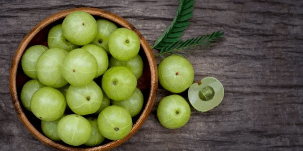 Fruto da Phyllanthus emblica (Foto: Reprodução/Internet)