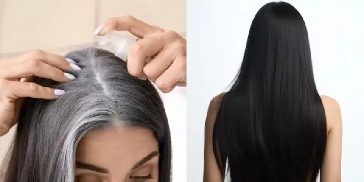 Cabelos grisalhos e cabelos sem fios brancos (Foto: Reprodução/Freepik)