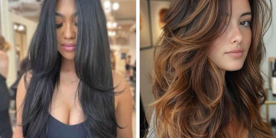 Longo camadas (Foto: Reprodução/Internet)