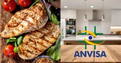 Frangos, cozinha e logo Anvisa (Fotos: Reproduções / Canva / Internet)